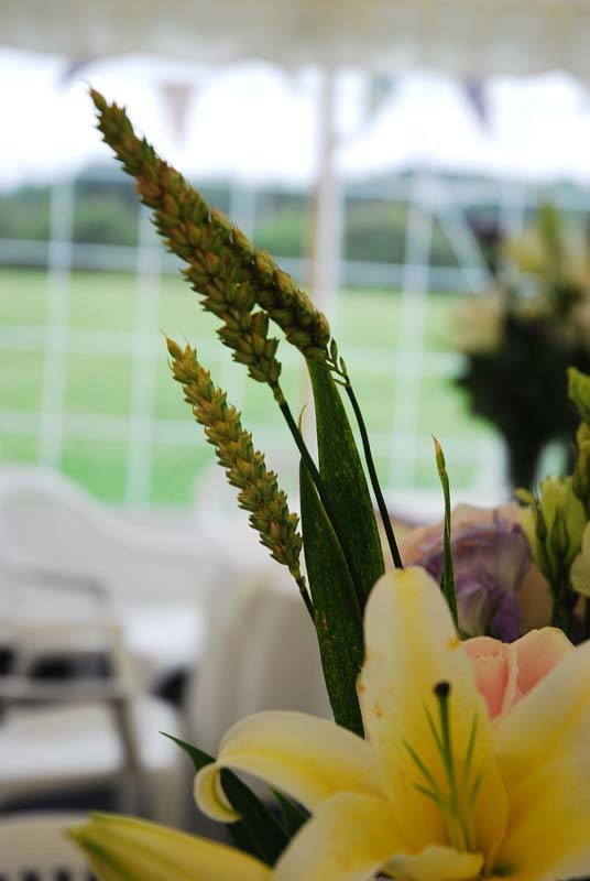 Beautiful traditional pole marquee setup for a wedding
